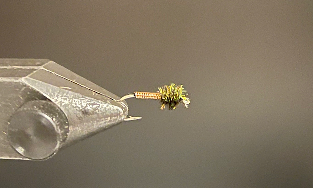 Tying Brassie: Step 6