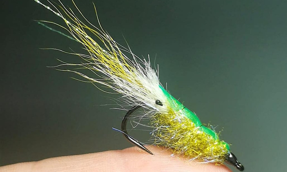 Dane’s Shrimp Pattern