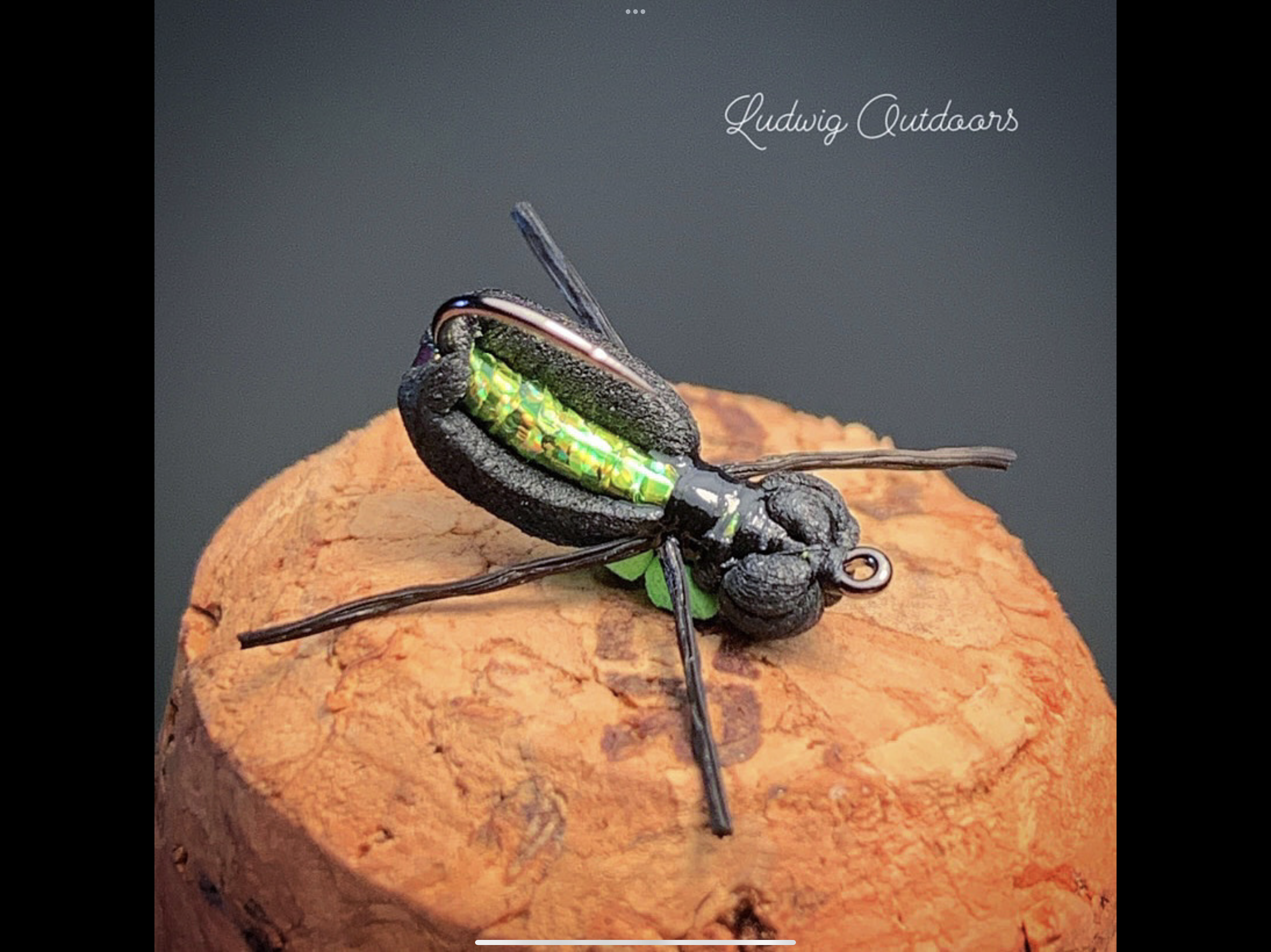 Holographic Beetle Pattern