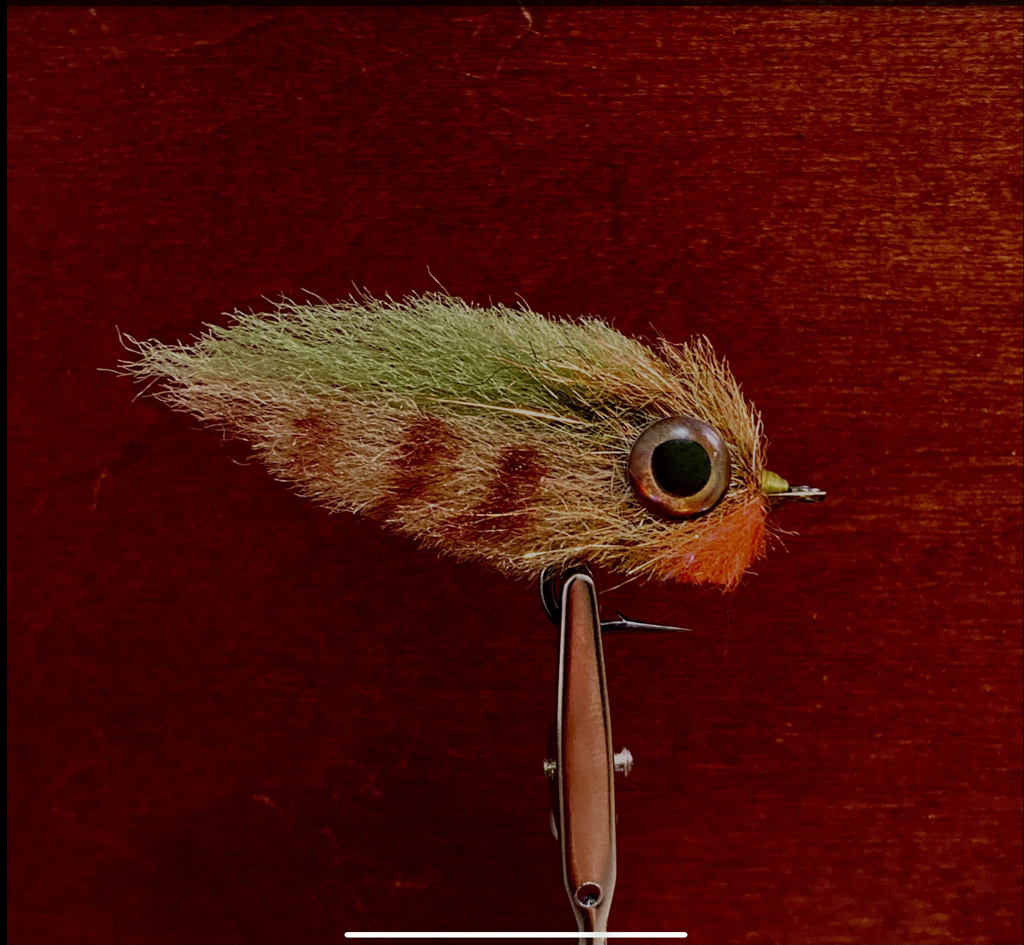 EP Sunfish Pattern