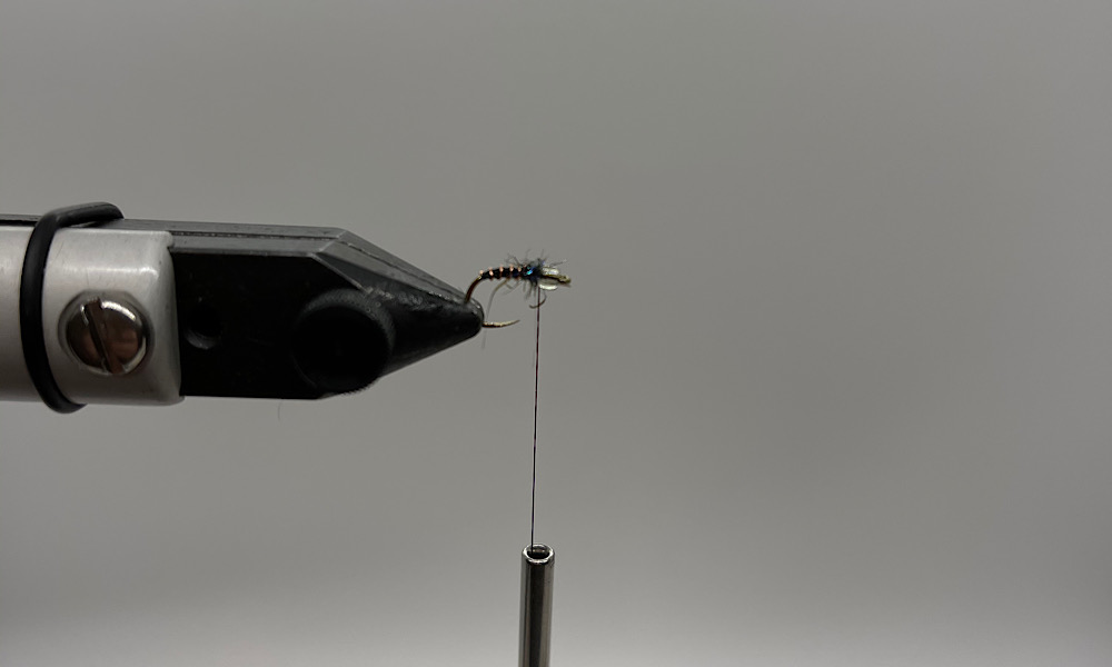 Tying Mercury Black Beauty: Step 6