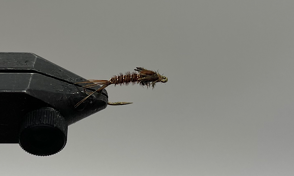 Pheasant Tail Nymph Pattern
