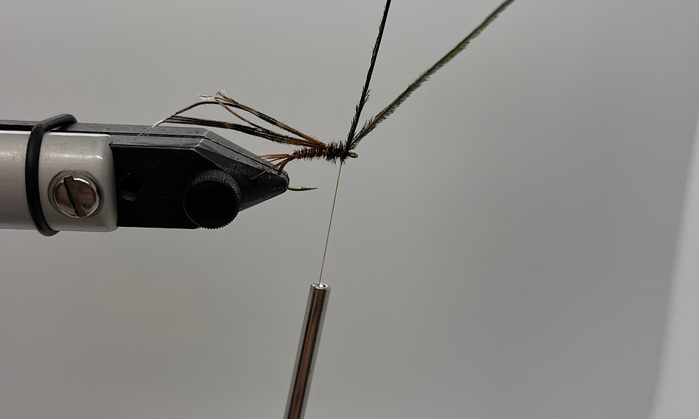 Tying Pheasant Tail Nymph: Step 9