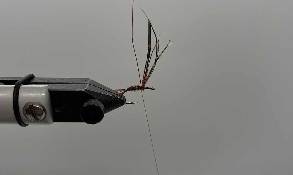 Tying Pheasant Tail Nymph: Step 6