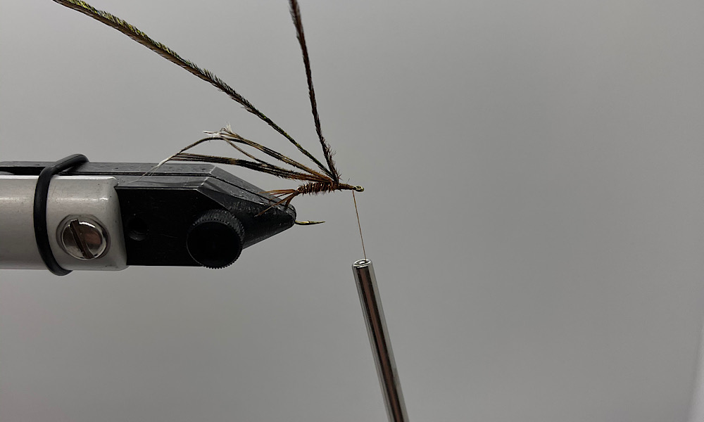 Tying Pheasant Tail Nymph: Step 8