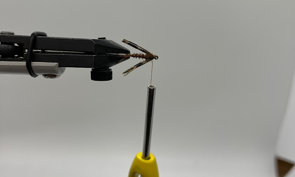 Tying Pheasant Tail Nymph: Step 11