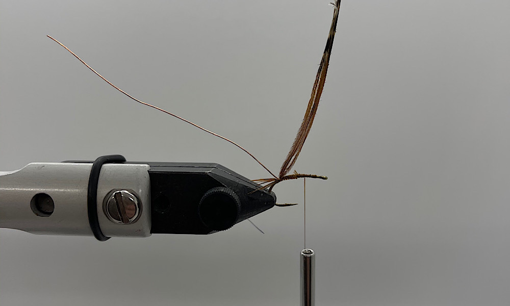 Tying Pheasant Tail Nymph: Step 4
