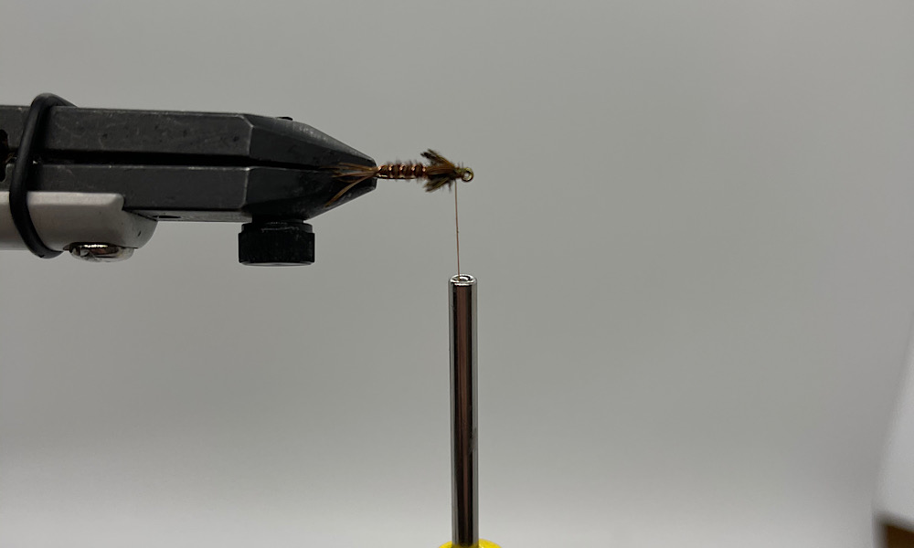 Tying Pheasant Tail Nymph: Step 12