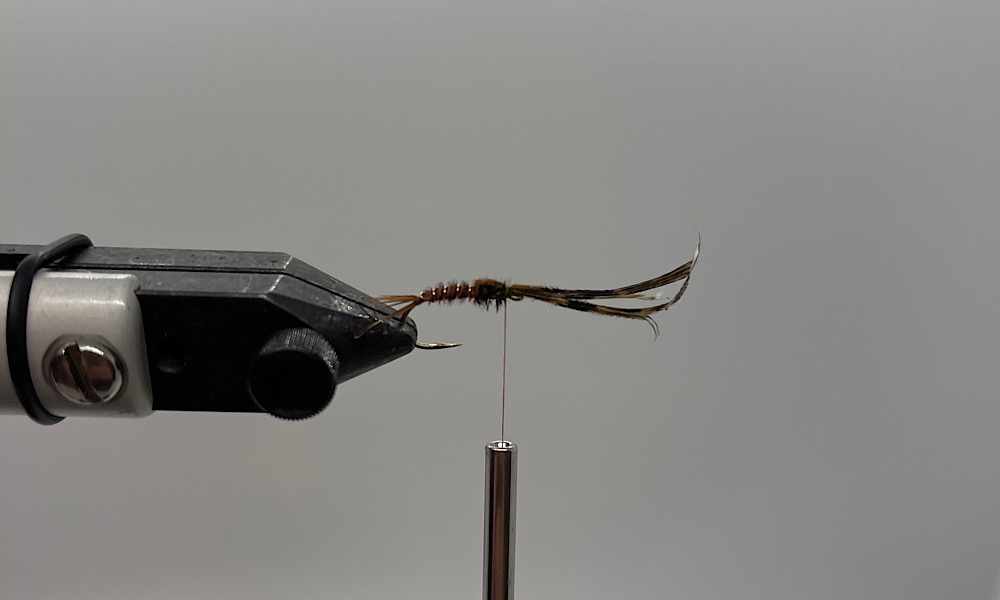 Tying Pheasant Tail Nymph: Step 10