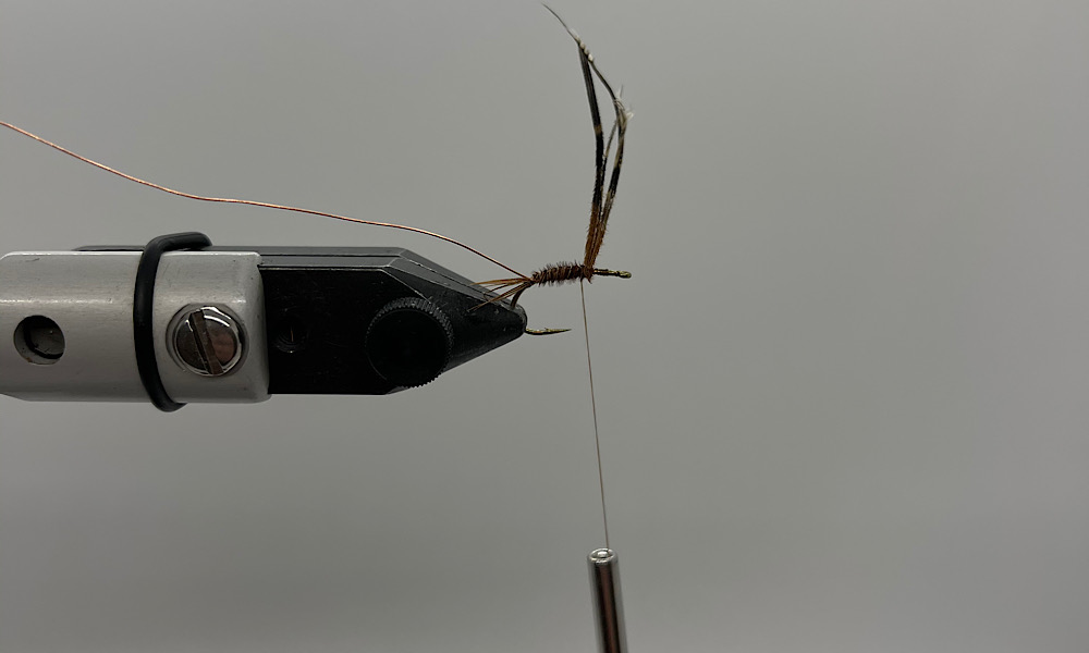 Tying Pheasant Tail Nymph: Step 5