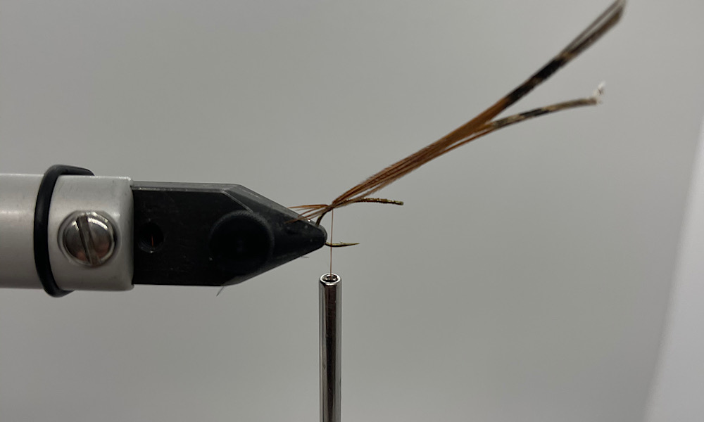 Tying Pheasant Tail Nymph: Step 2
