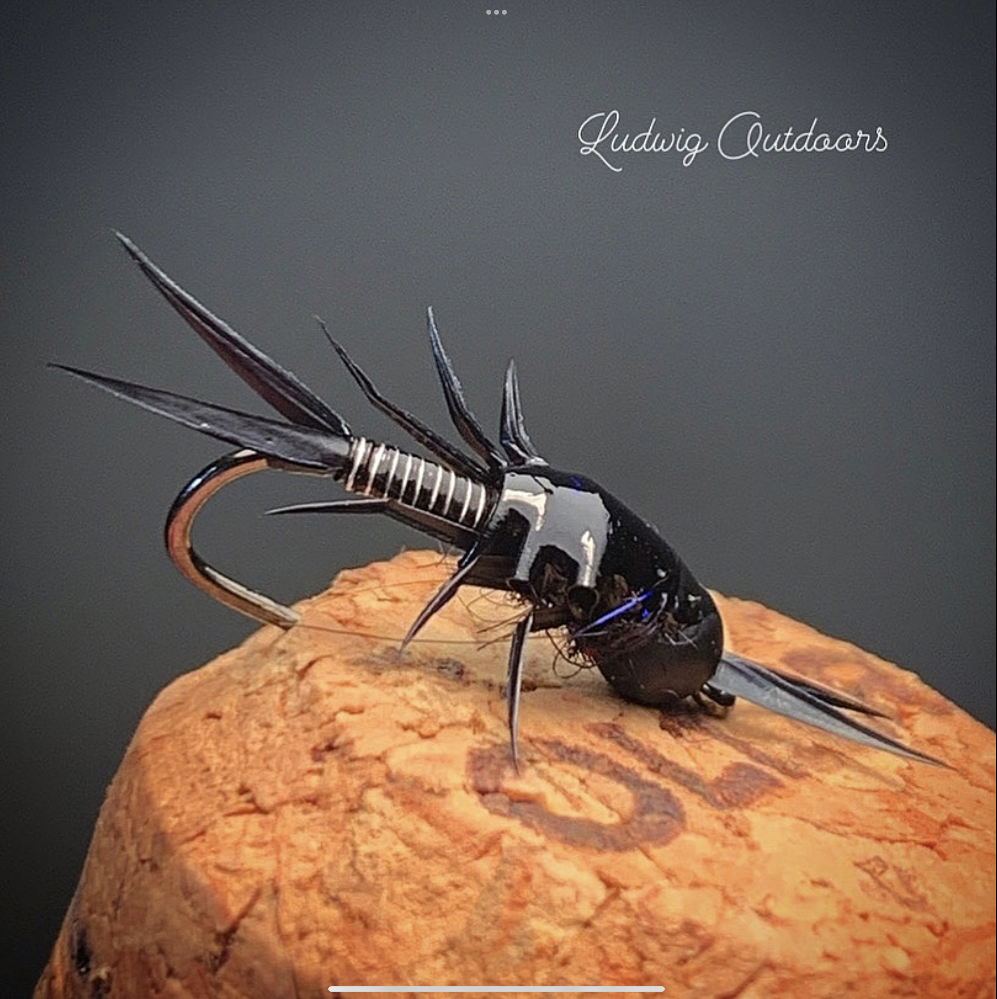 Stonefly Nymph wire body Pattern