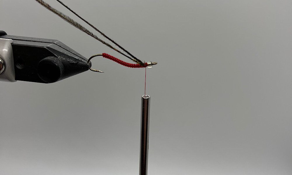 Tying V-Rib Chironomid RED: Step 6