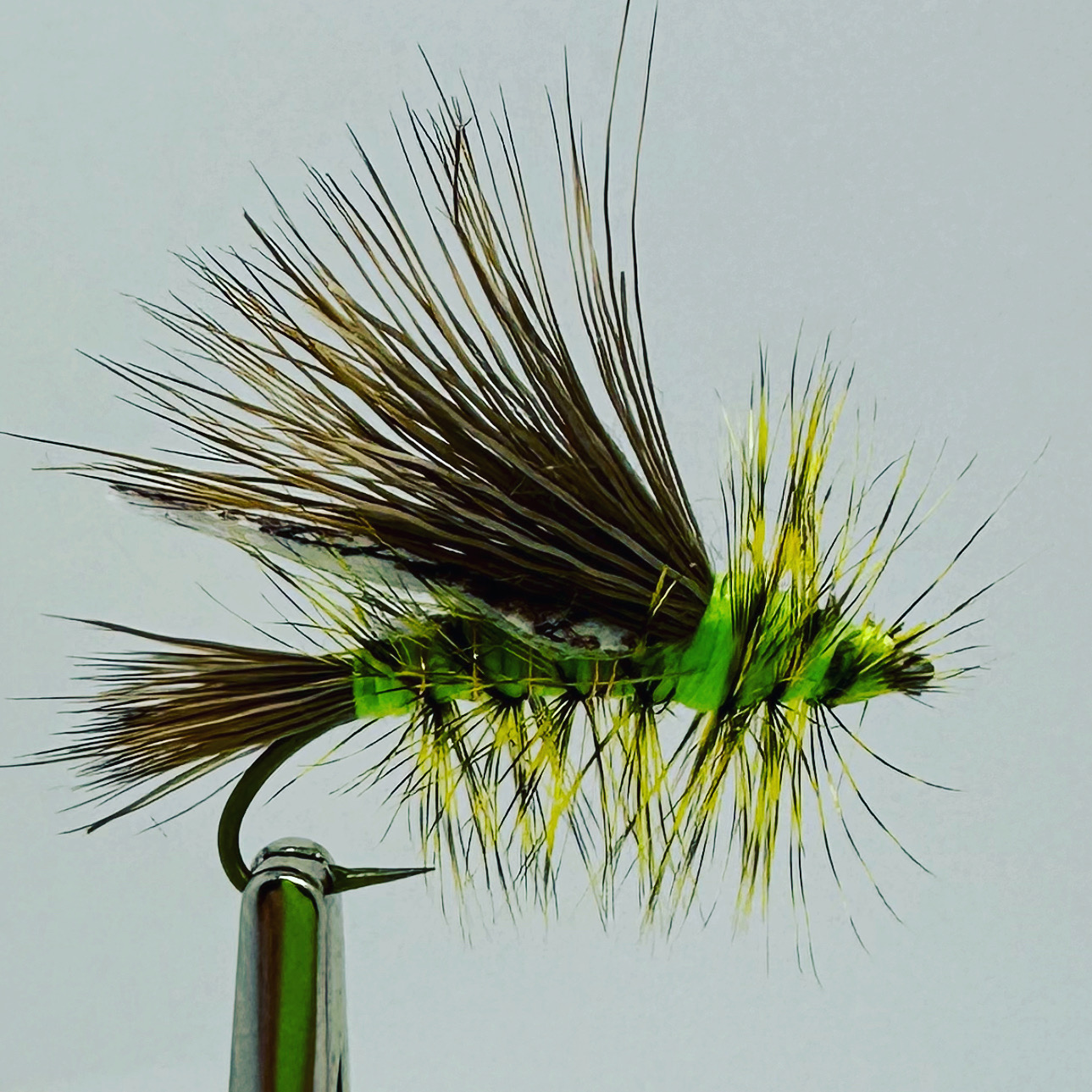 Wing Back Stimi Pattern