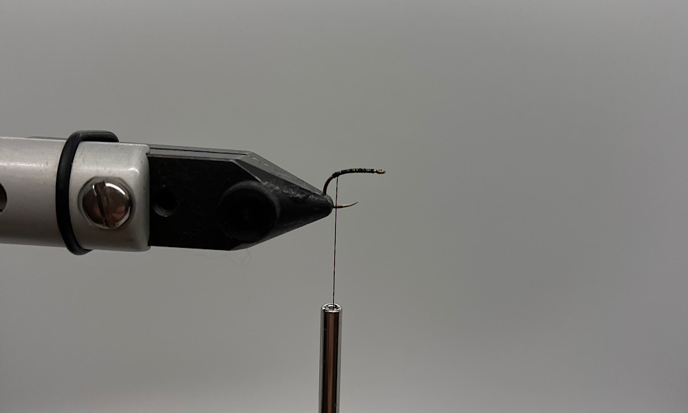Tying Zebra Midge: Step 1
