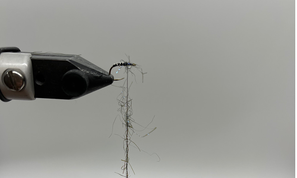 Tying Zebra Midge: Step 4